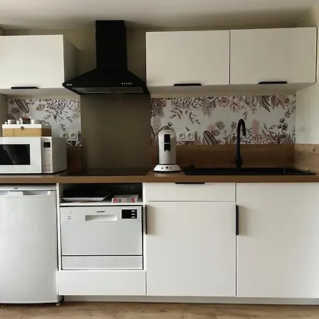 L'arbre De Soie Futuroscope Albizia