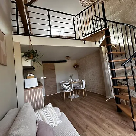 L'arbre De Soie Futuroscope Albizia * Vouillé