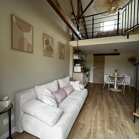 L'arbre De Soie Futuroscope Albizia * Vouillé