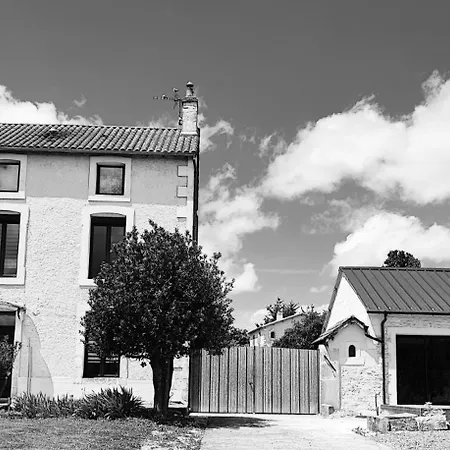 L'arbre De Soie Futuroscope Albizia